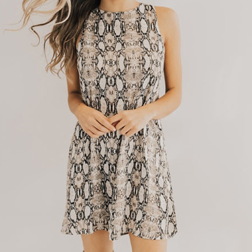 Caramela Snake Print Shift Dress